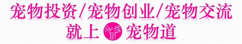 廣州有幾個(gè)觀賞魚(yú)市場(chǎng)