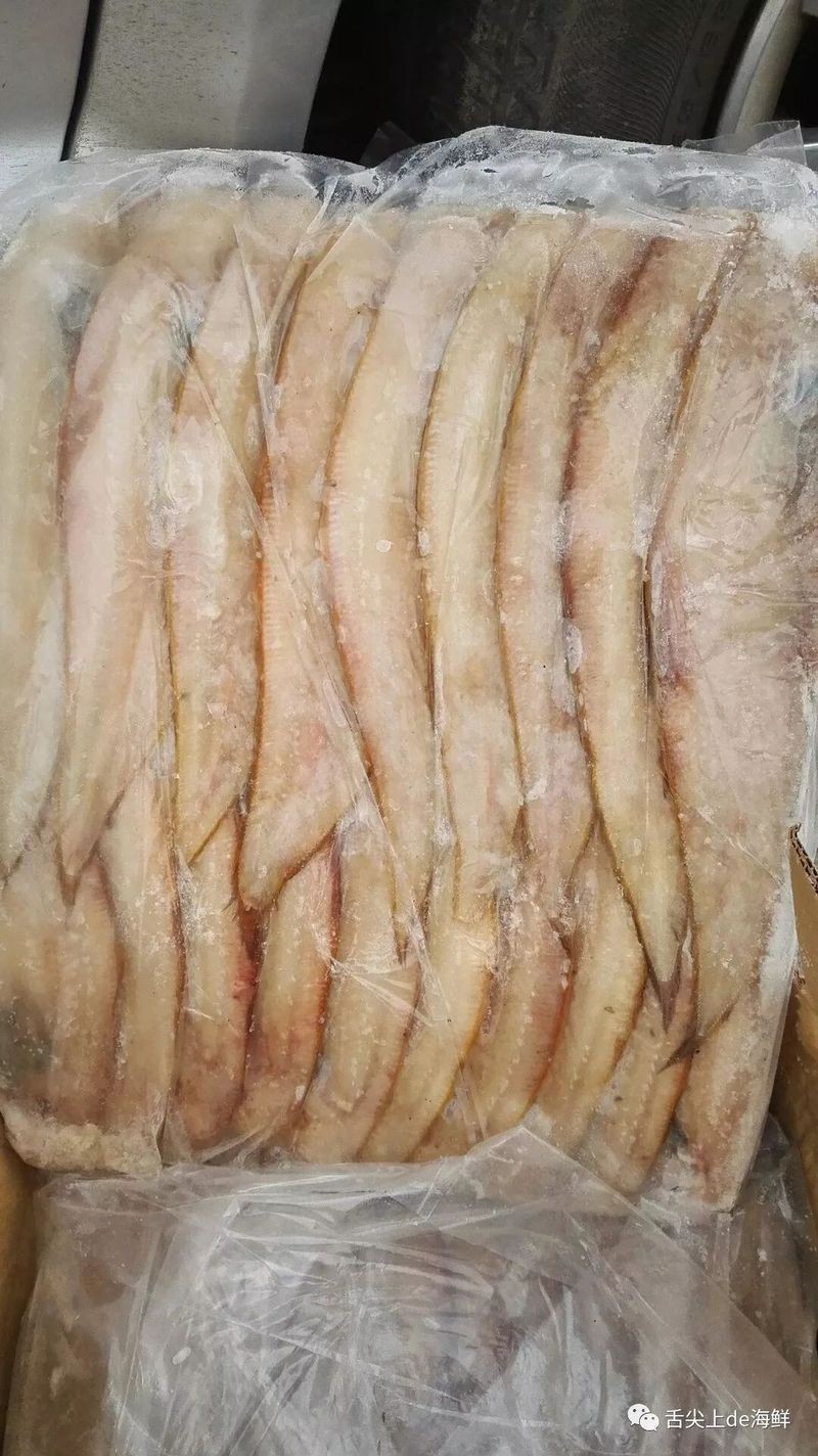 海魚多少一斤算正常 海魚多少一斤算正常 龍魚論壇 第5張