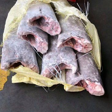 海魚多少一斤算正常 海魚多少一斤算正常 龍魚論壇 第7張
