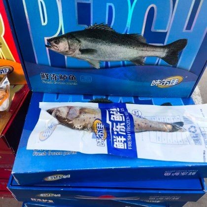海魚的價格今日價