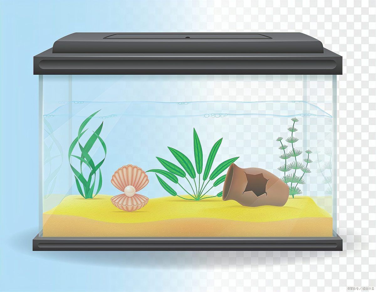 塔城魚缸店，城魚缸店哪家好？ 塔城魚缸店，城魚缸店哪家好？ 全國水族館企業名錄 第9張