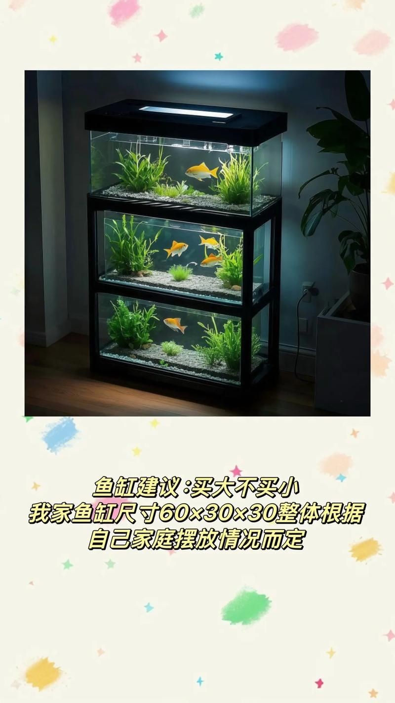 家庭魚缸養魚品種圖片,魚缸熱門觀賞魚品種精選及高清圖片 龍魚論壇 第18張 家庭魚缸養魚品種圖片,魚缸熱門觀賞魚品種精選及高清圖片 家庭魚缸養魚品種圖片,魚缸熱門觀賞魚品種精選及高清圖片 龍魚論壇 第18張