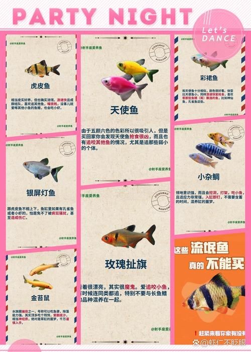 家庭魚缸養魚品種圖片,魚缸熱門觀賞魚品種精選及高清圖片 龍魚論壇 第4張 家庭魚缸養魚品種圖片,魚缸熱門觀賞魚品種精選及高清圖片 家庭魚缸養魚品種圖片,魚缸熱門觀賞魚品種精選及高清圖片 龍魚論壇 第4張