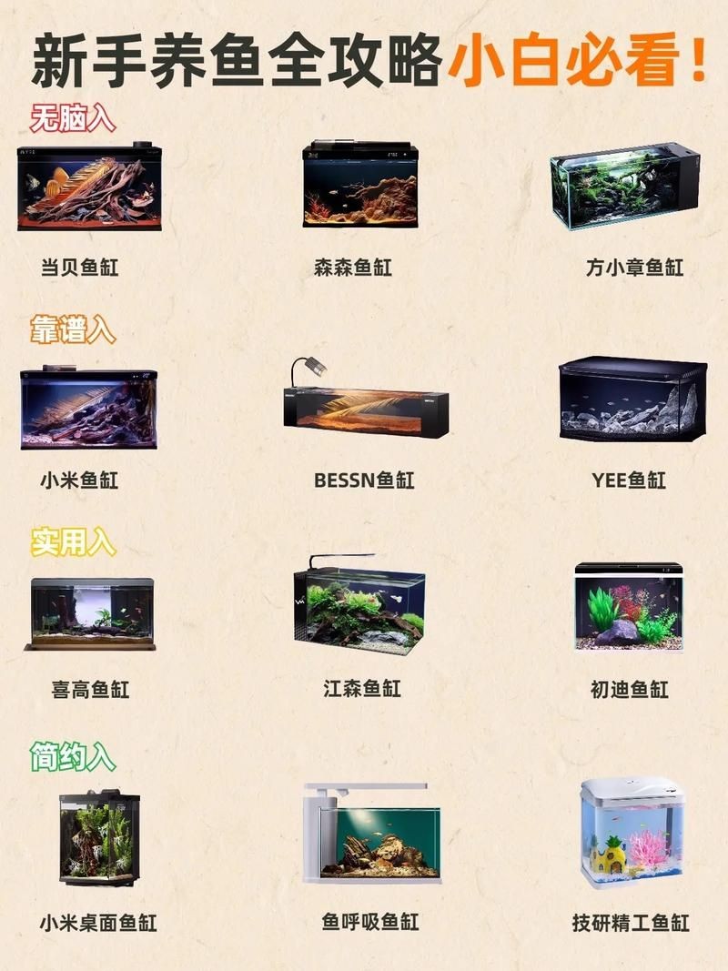 家庭魚缸養魚品種圖片,魚缸熱門觀賞魚品種精選及高清圖片 龍魚論壇 第16張 家庭魚缸養魚品種圖片,魚缸熱門觀賞魚品種精選及高清圖片 家庭魚缸養魚品種圖片,魚缸熱門觀賞魚品種精選及高清圖片 龍魚論壇 第16張