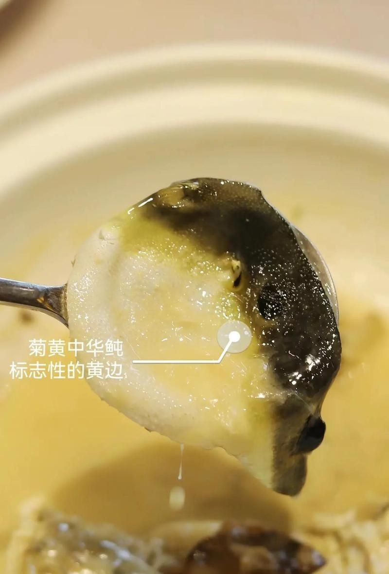 河豚最貴三個品種，豚天價三大珍稀
