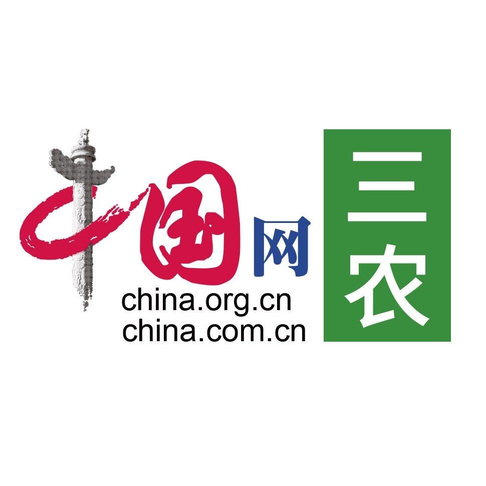 河豚最貴三個品種，豚天價三大珍稀