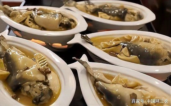 河豚最貴三個品種，豚天價三大珍稀