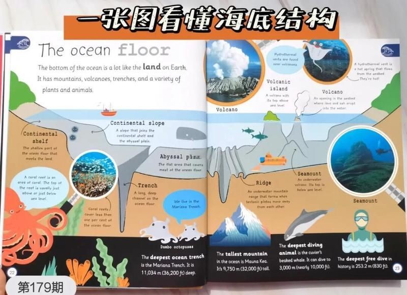 海底世界的科普小知識，索神秘海底，科普小