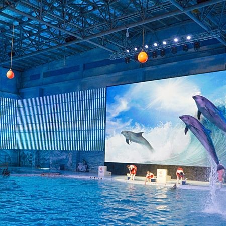 海洋公園里有什么水族館，公園熱門水族館