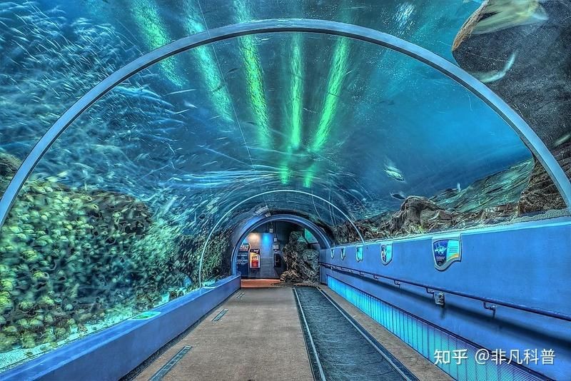 海洋公園里有什么水族館，公園熱門水族館