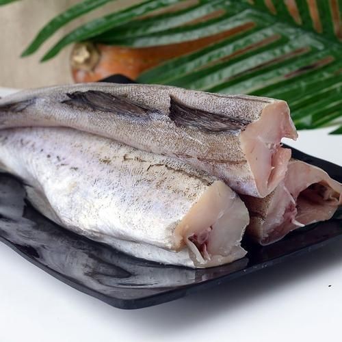 各種血魚圖片,各類血魚高清圖片 龍魚論壇 第20張 各種血魚圖片,各類血魚高清圖片 各種血魚圖片,各類血魚高清圖片 龍魚論壇 第20張