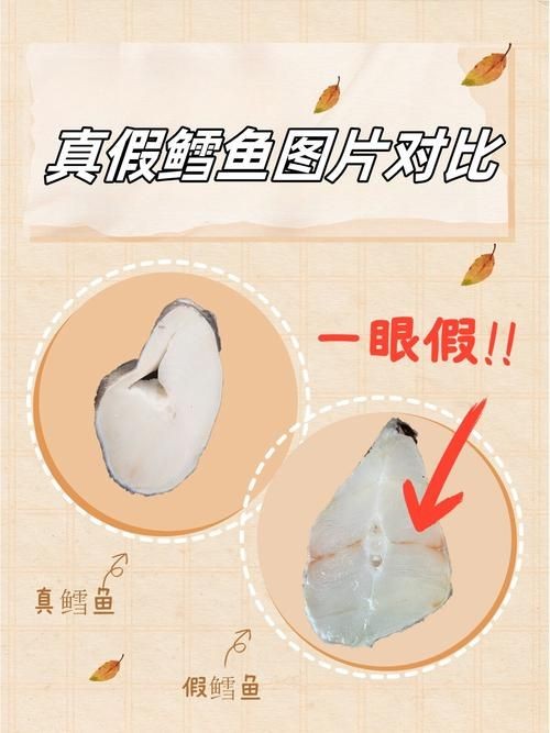 各種血魚圖片,各類血魚高清圖片 龍魚論壇 第5張 各種血魚圖片,各類血魚高清圖片 各種血魚圖片,各類血魚高清圖片 龍魚論壇 第5張