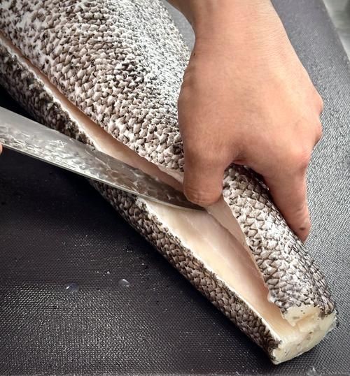 各種血魚圖片,各類血魚高清圖片 龍魚論壇 第10張 各種血魚圖片,各類血魚高清圖片 各種血魚圖片,各類血魚高清圖片 龍魚論壇 第10張