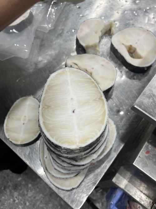 各種血魚圖片,各類血魚高清圖片 龍魚論壇 第17張 各種血魚圖片,各類血魚高清圖片 各種血魚圖片,各類血魚高清圖片 龍魚論壇 第17張