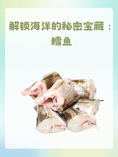 各種血魚圖片,各類血魚高清圖片 龍魚論壇 第24張 各種血魚圖片,各類血魚高清圖片 各種血魚圖片,各類血魚高清圖片 龍魚論壇 第24張