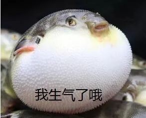 海里的河豚為什么不叫海豚，的河豚與海豚有何本質區別？