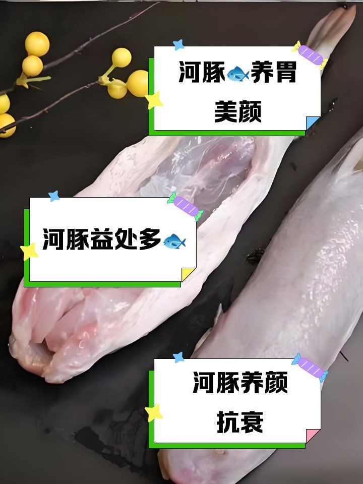 河豚魚(yú)的營(yíng)養(yǎng)價(jià)值及功效，豚魚(yú)的食用禁忌