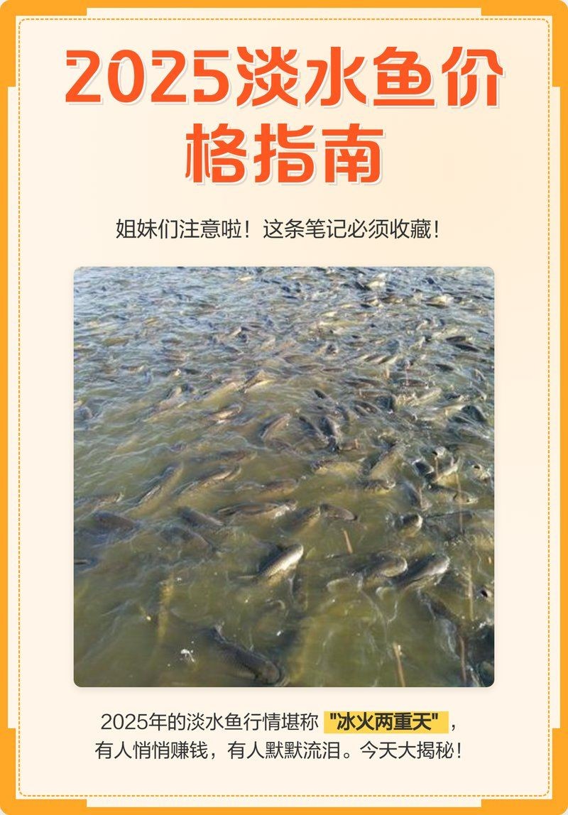 今天2一3斤草魚價格,草魚(2-3斤)市場 龍魚百科 第3張 今天2一3斤草魚價格,草魚(2-3斤)市場 今天2一3斤草魚價格,草魚(2-3斤)市場 龍魚百科 第3張