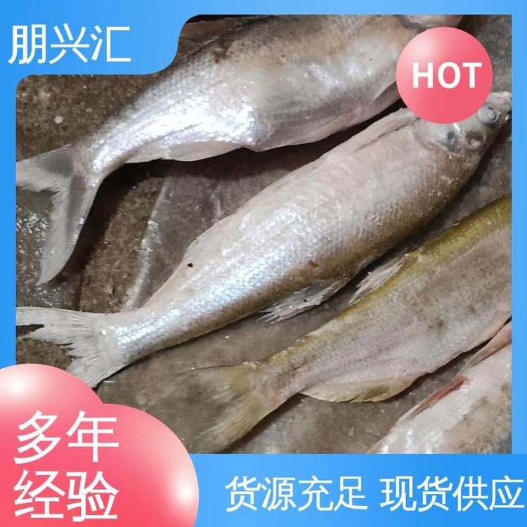 海鰱魚價格是多少錢，鰱魚市場價格行情查詢