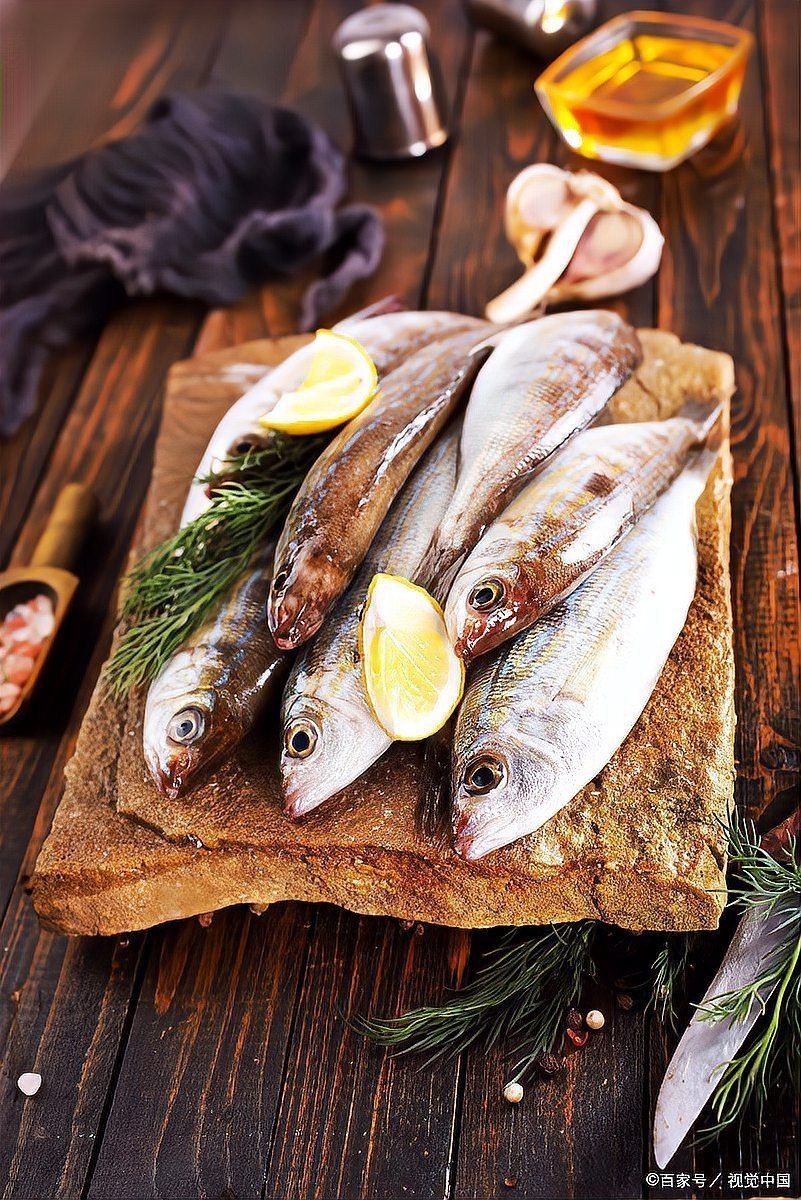 家里養貓又養魚相克嗎，同時養貓與魚是否真的相克 家里養貓又養魚相克嗎，同時養貓與魚是否真的相克 龍魚百科 第11張