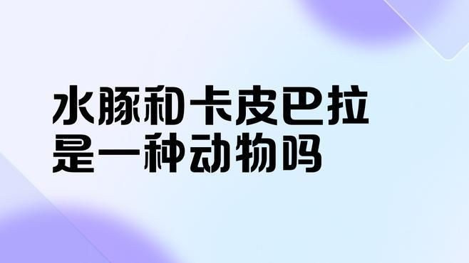 卡皮巴拉和水豚的區別在哪，皮巴拉VS水豚，二者究竟有何
