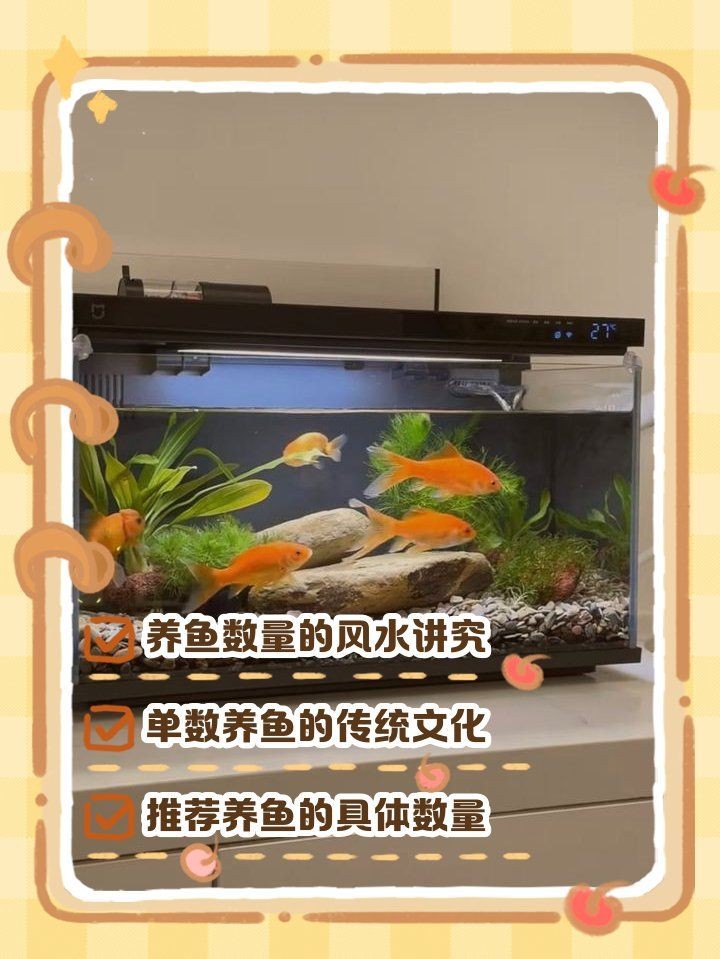 家里生小魚是吉兆嗎，生小魚有何預兆 家里生小魚是吉兆嗎，生小魚有何預兆 龍魚論壇 第6張