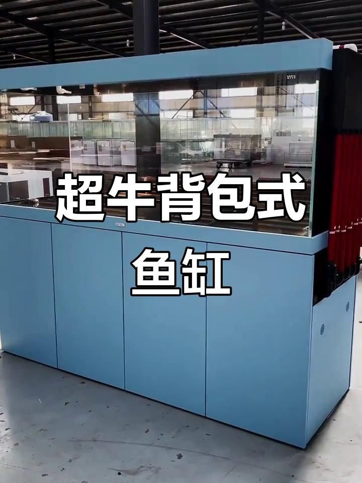 各種魚缸最新款，幾種不同風格的下拉詞標題供你參考，，各種魚缸最新款 | 時尚造型與實用功能兼具，各種魚缸最新款 | 高清展示，挑選攻略全解析，各種魚缸最新款 | 熱門新品，打造夢幻