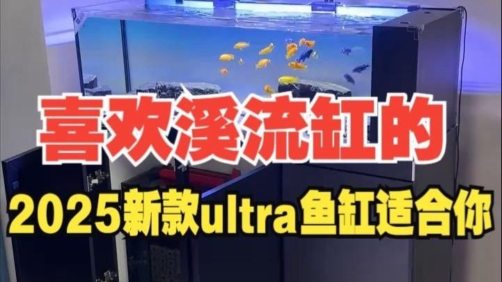 各種魚缸最新款，幾種不同風格的下拉詞標題供你參考，，各種魚缸最新款 | 時尚造型與實用功能兼具，各種魚缸最新款 | 高清展示，挑選攻略全解析，各種魚缸最新款 | 熱門新品，打造夢幻