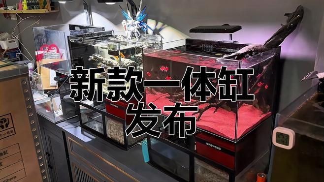 各種魚缸最新款，幾種不同風格的下拉詞標題供你參考，，各種魚缸最新款 | 時尚造型與實用功能兼具，各種魚缸最新款 | 高清展示，挑選攻略全解析，各種魚缸最新款 | 熱門新品，打造夢幻