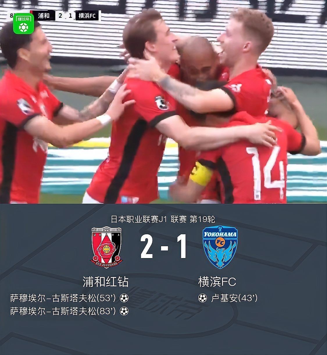 橫濱對(duì)浦和紅鉆,濱VS浦和紅 龍魚論壇 第10張 橫濱對(duì)浦和紅鉆,濱VS浦和紅 橫濱對(duì)浦和紅鉆,濱VS浦和紅 龍魚論壇 第10張
