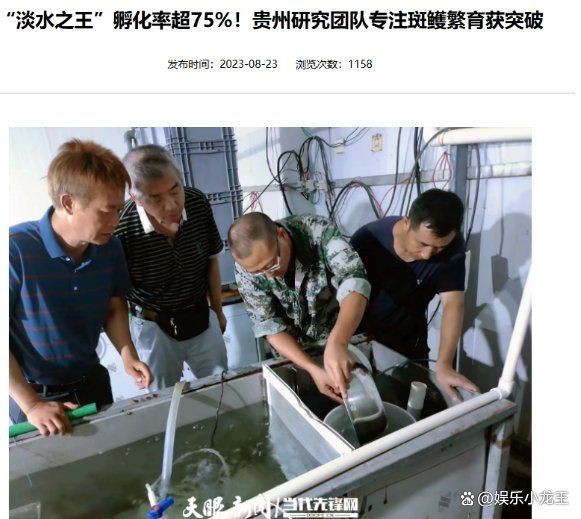 劍魚為什么沒人吃，魚無人食用之謎解析