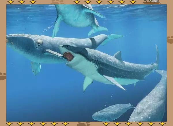 金龍魚畫稿，，北京東直門內北京東直門內北京東直門內北新倉18號《家庭中醫藥》