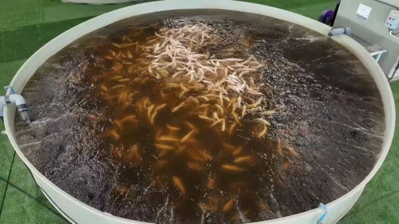 和田魚缸批發(fā)市場，田魚缸批發(fā)市場地址及