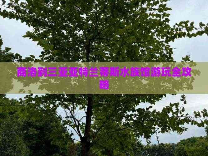 商洛水族館，洛水族館精選 商洛水族館，洛水族館精選 全國水族館企業名錄 第5張