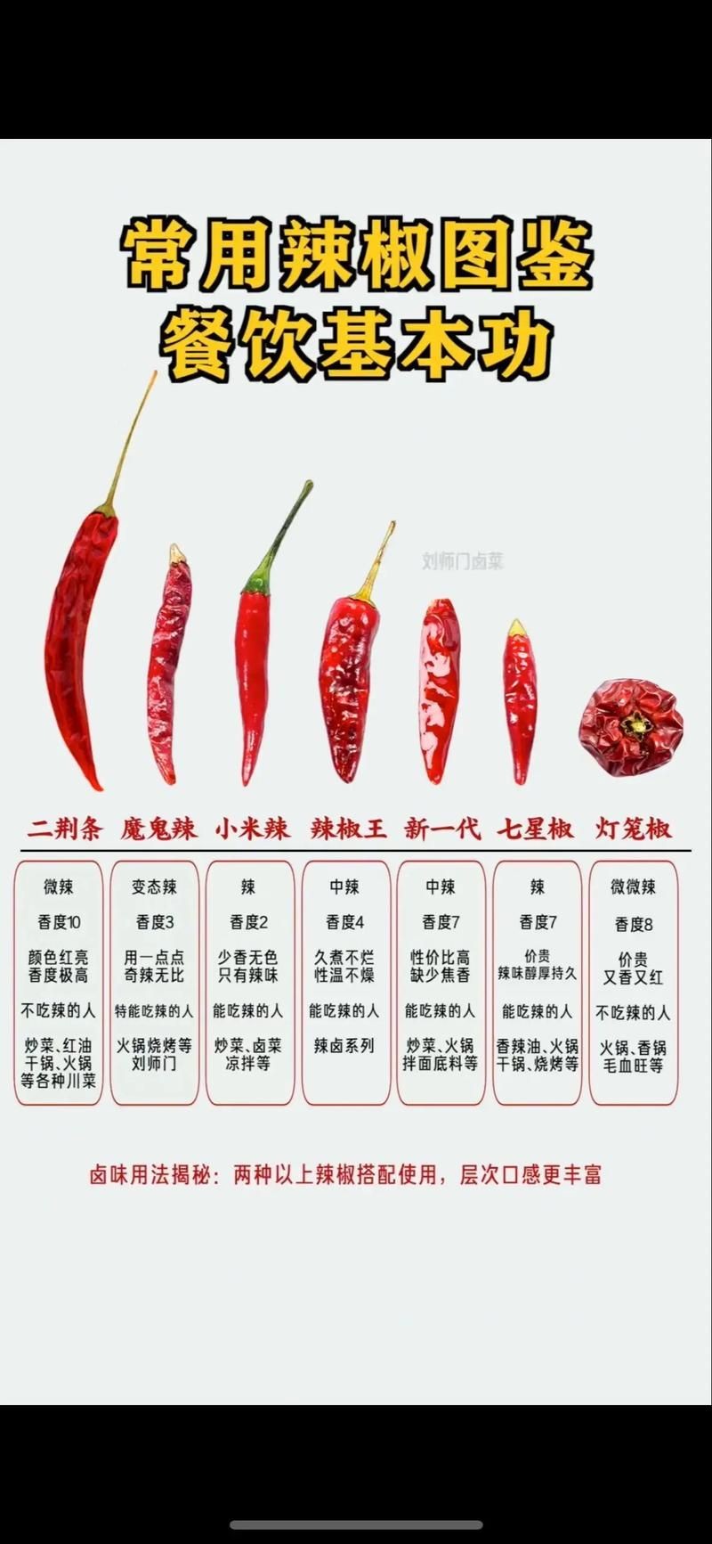 各種辣椒圖片，多種辣椒高清圖片大全，辣味視覺盛宴盡收眼底！