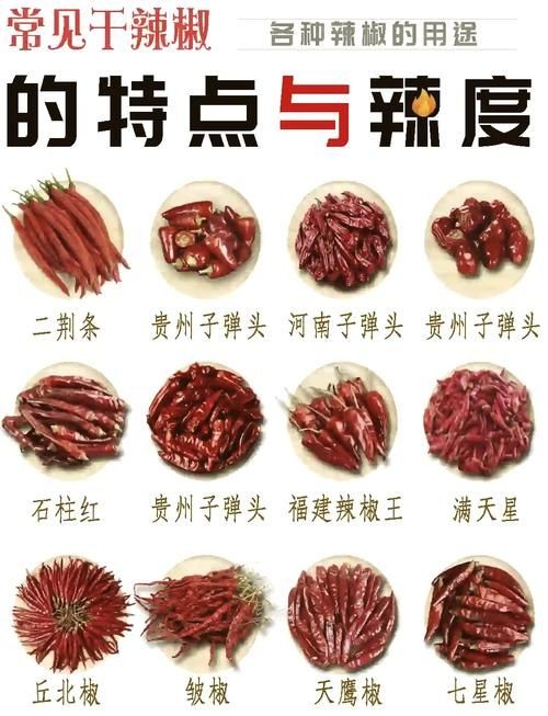 各種辣椒圖片，多種辣椒高清圖片大全，辣味視覺盛宴盡收眼底！