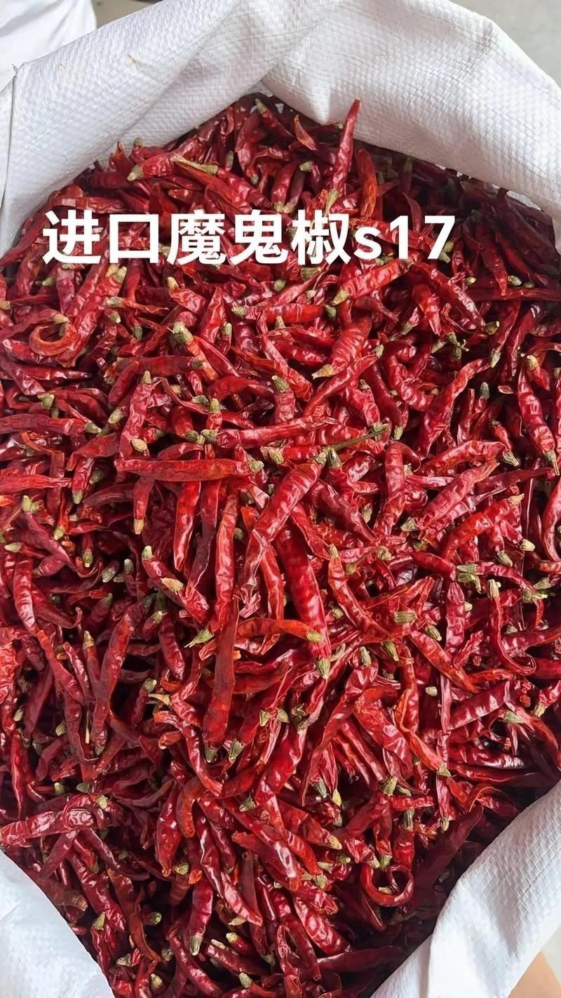 各種辣椒圖片，多種辣椒高清圖片大全，辣味視覺盛宴盡收眼底！