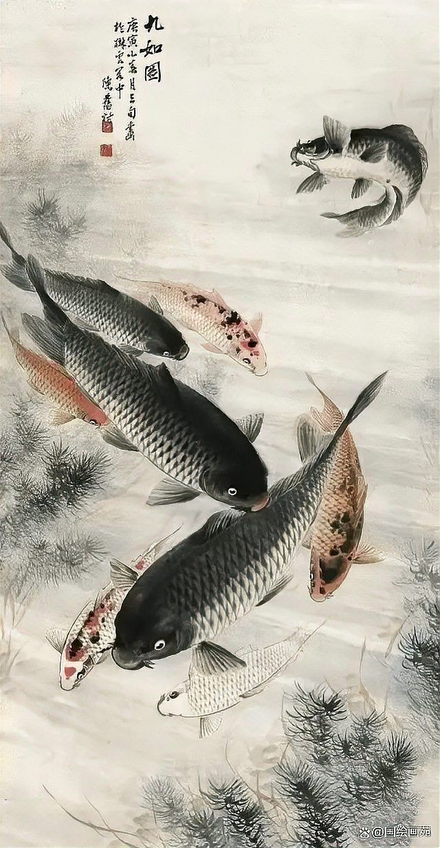 和縣有沒有龍魚養(yǎng)殖的合作社，和縣有沒有龍魚養(yǎng)殖的合作社？