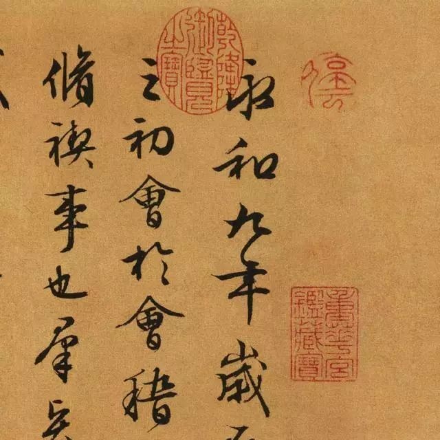 九種化龍的動物