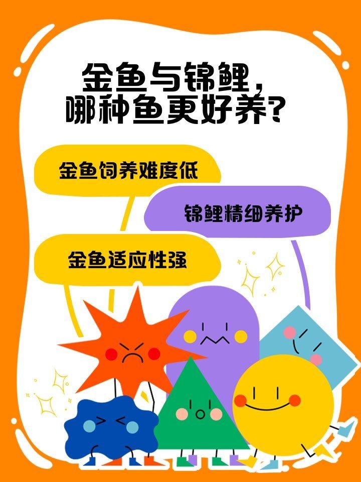 家里適合養錦鯉還是金魚
