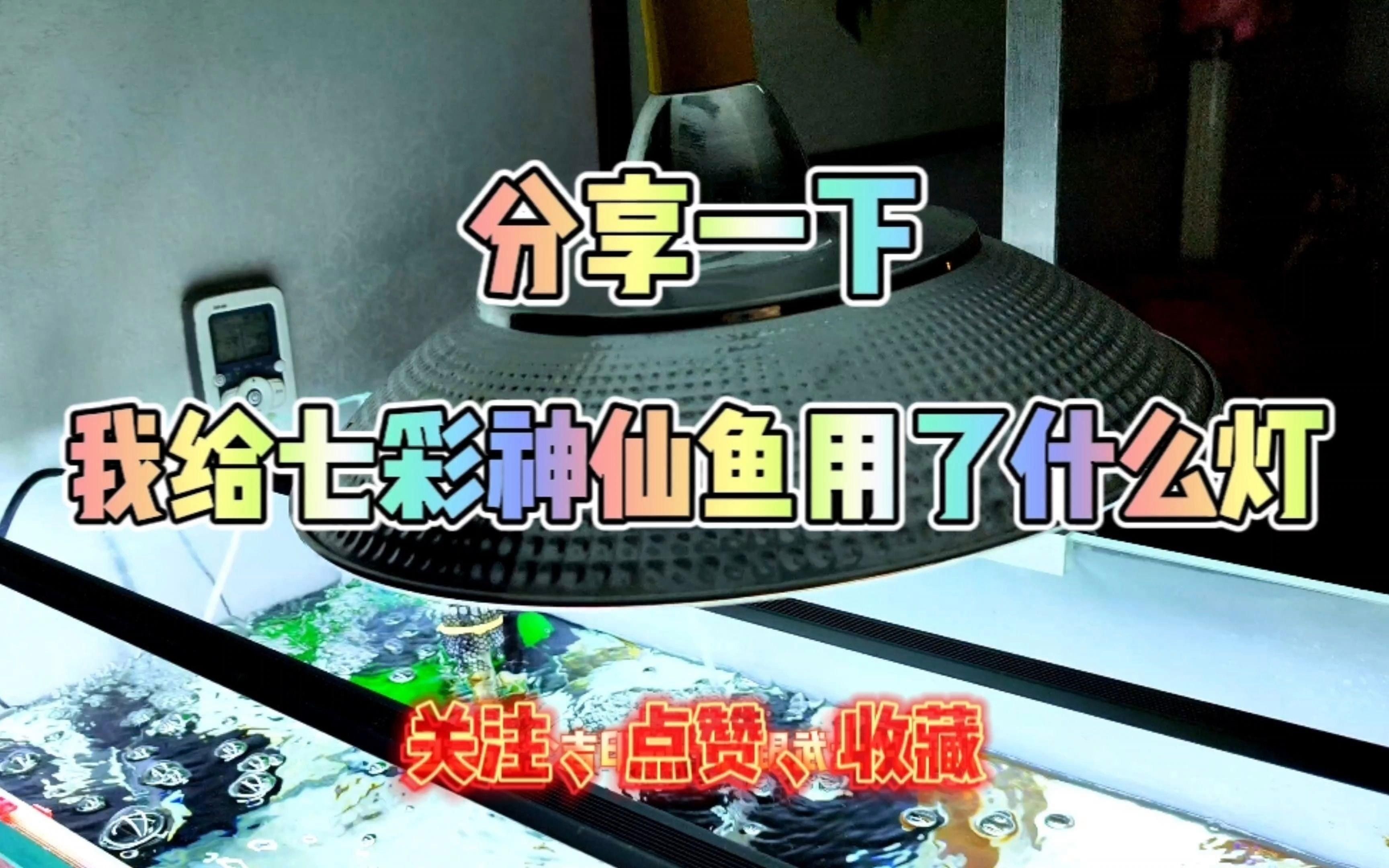 吉印燈養(yǎng)水草的正確使用方法視頻