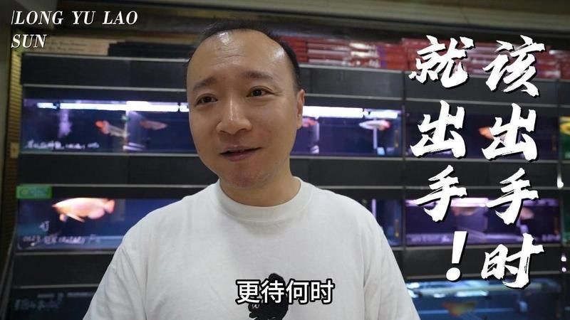 和興龍魚一斤多少錢 全國水族館企業名錄 第3張 和興龍魚一斤多少錢 和興龍魚一斤多少錢 全國水族館企業名錄 第3張