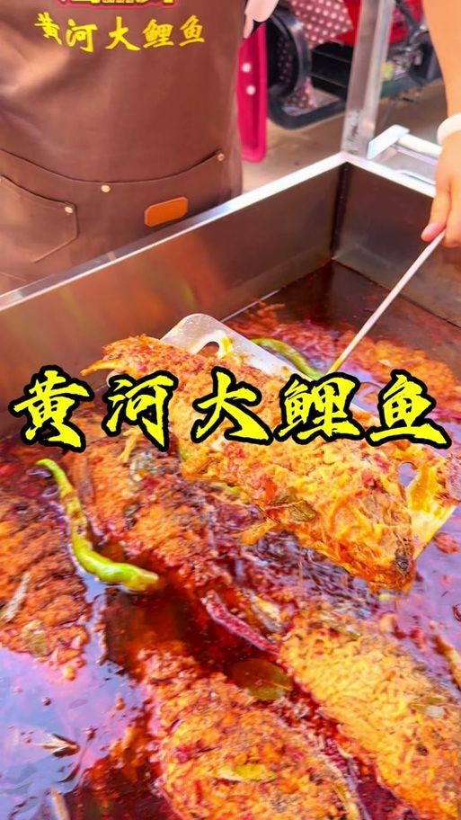 巨型曲鯉圖片