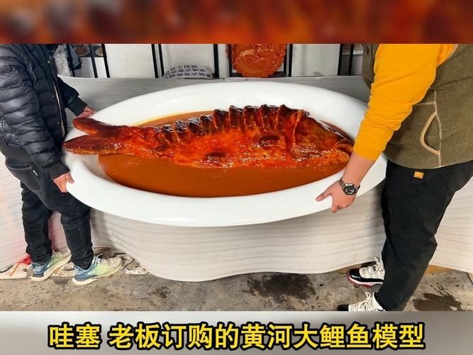巨型曲鯉圖片