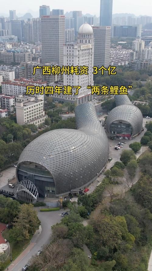 巨型曲鯉圖片