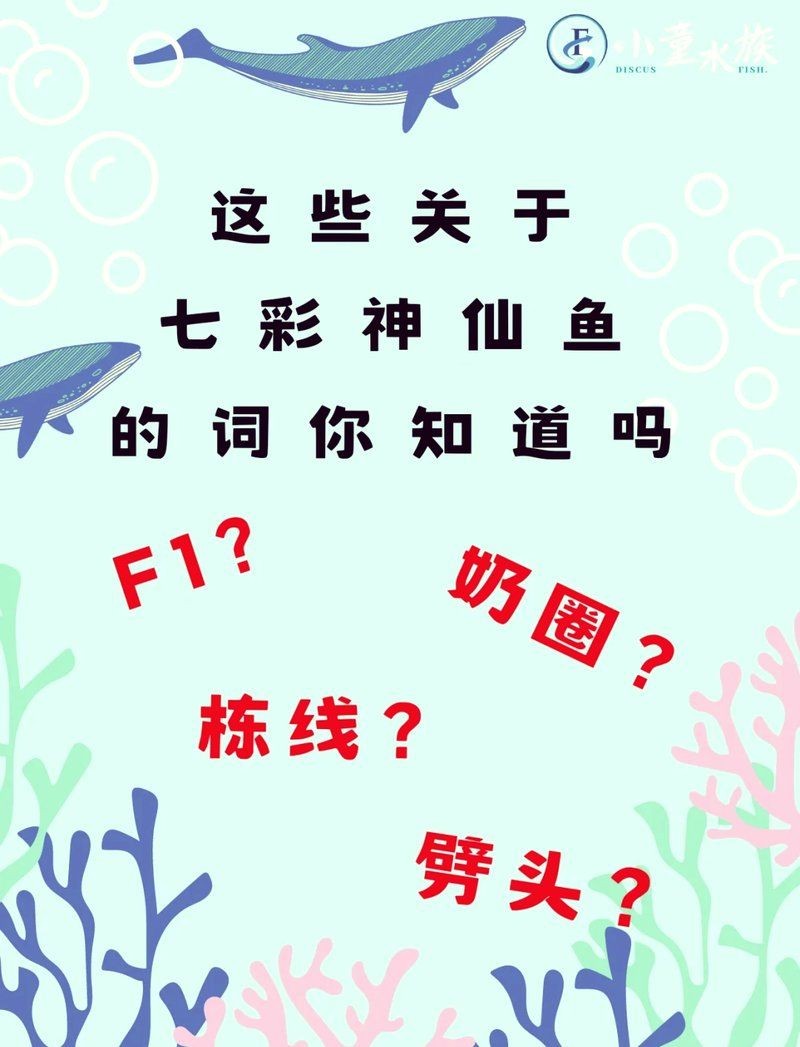 河里的七彩魚