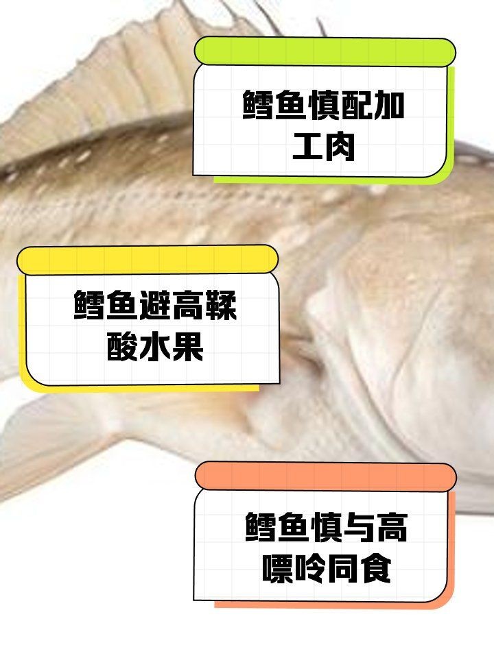 哈薩克鱈龍魚最忌諱三個食物 全國水族館企業(yè)名錄 第5張 哈薩克鱈龍魚最忌諱三個食物 哈薩克鱈龍魚最忌諱三個食物 全國水族館企業(yè)名錄 第5張