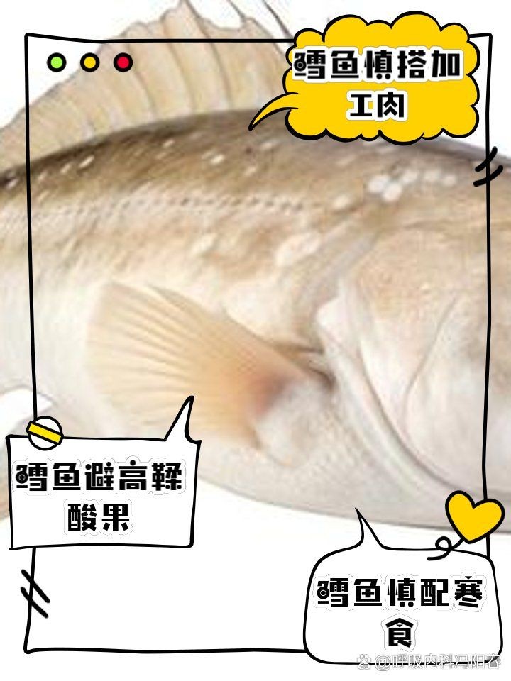 哈薩克鱈龍魚最忌諱三個食物 全國水族館企業(yè)名錄 第7張 哈薩克鱈龍魚最忌諱三個食物 哈薩克鱈龍魚最忌諱三個食物 全國水族館企業(yè)名錄 第7張