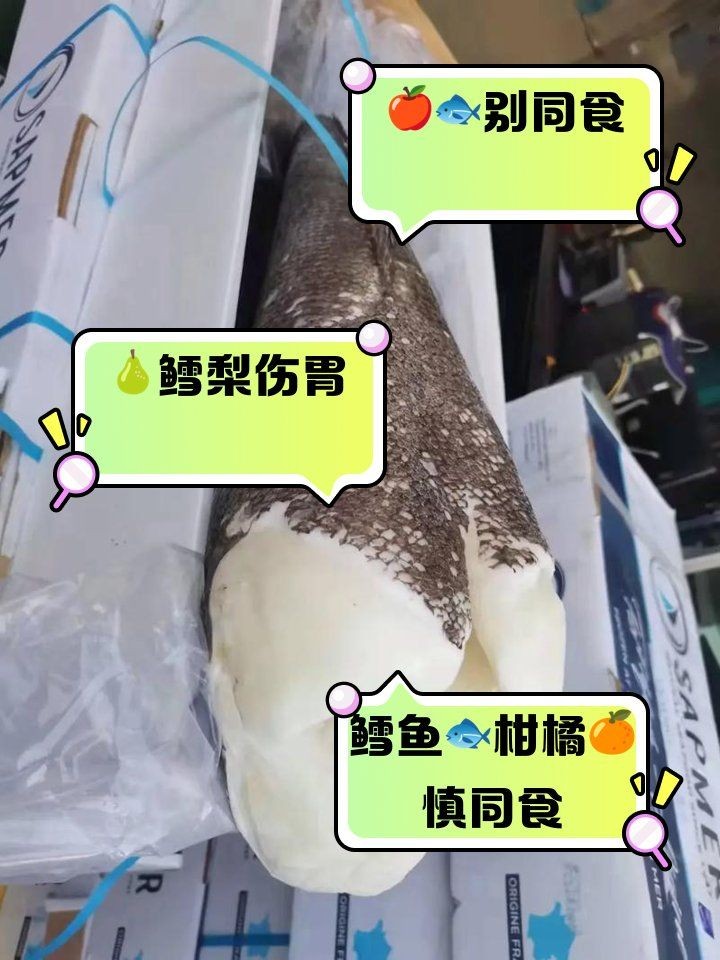 哈薩克鱈龍魚最忌諱三個食物 全國水族館企業(yè)名錄 第1張 哈薩克鱈龍魚最忌諱三個食物 哈薩克鱈龍魚最忌諱三個食物 全國水族館企業(yè)名錄 第1張