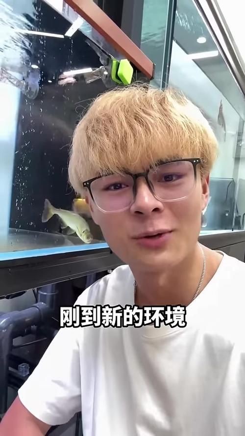 巨爆牙魚(yú)圖片 巨爆牙魚(yú)圖片 龍魚(yú)百科 第16張